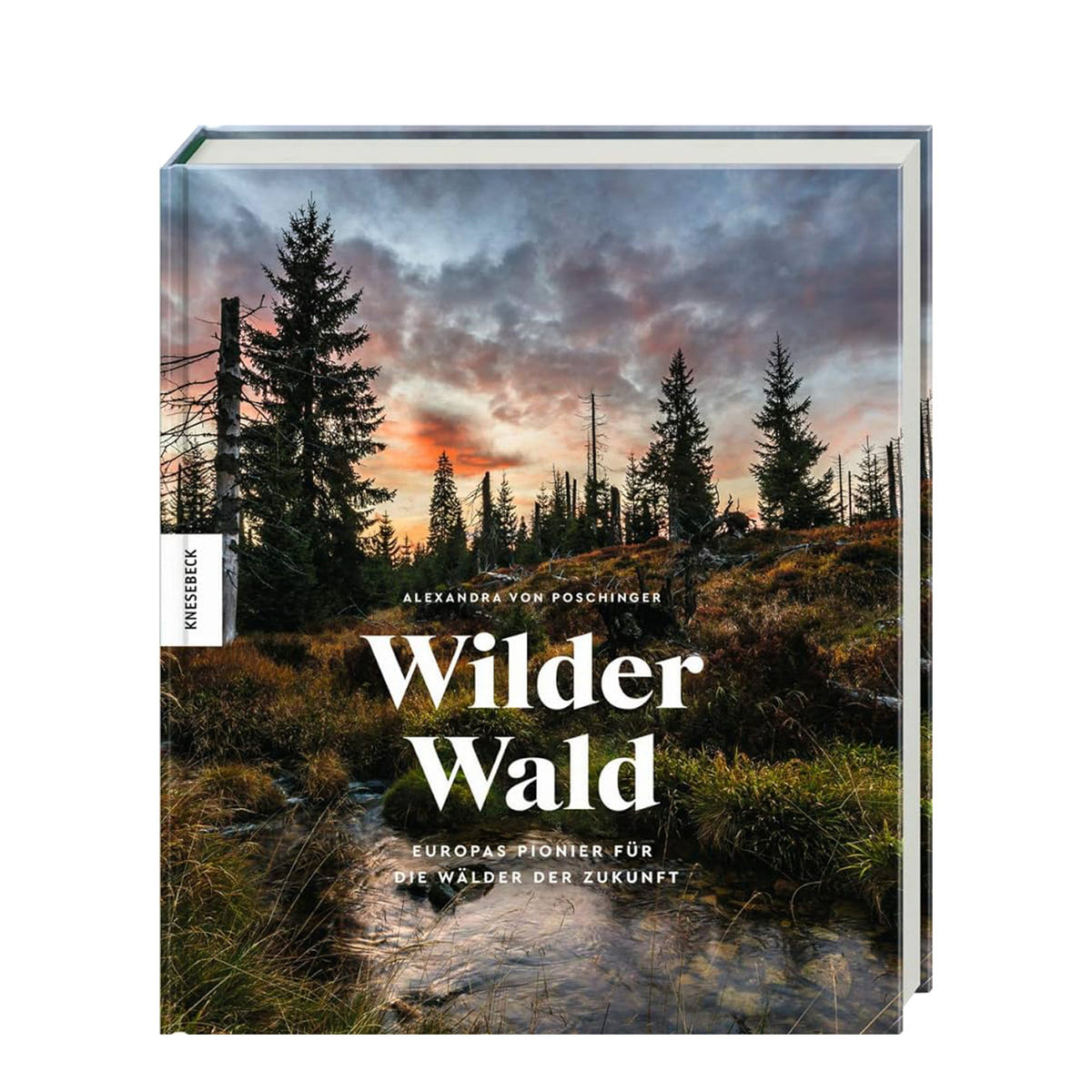 Wilder Wald: Europas Pionier für die Wälder der Zukunft